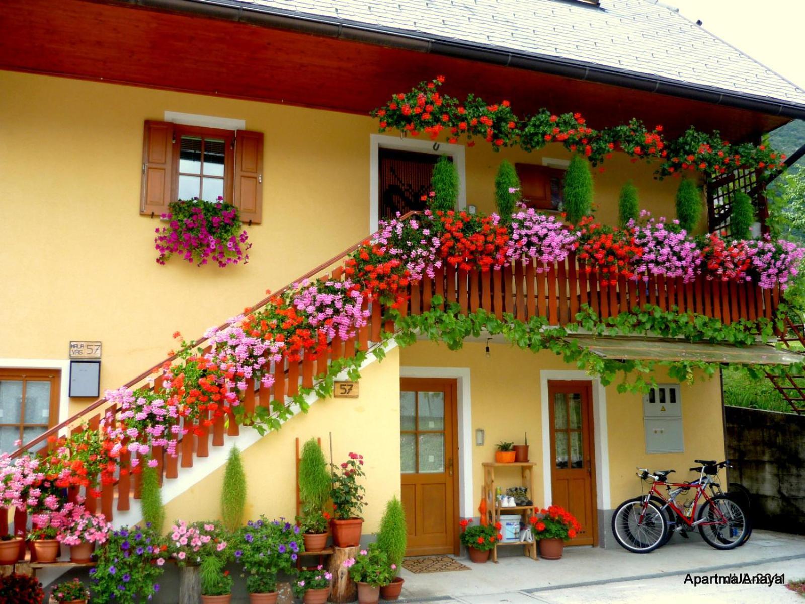 Apartment Anaya Paradise For Families Bovec Exterior foto